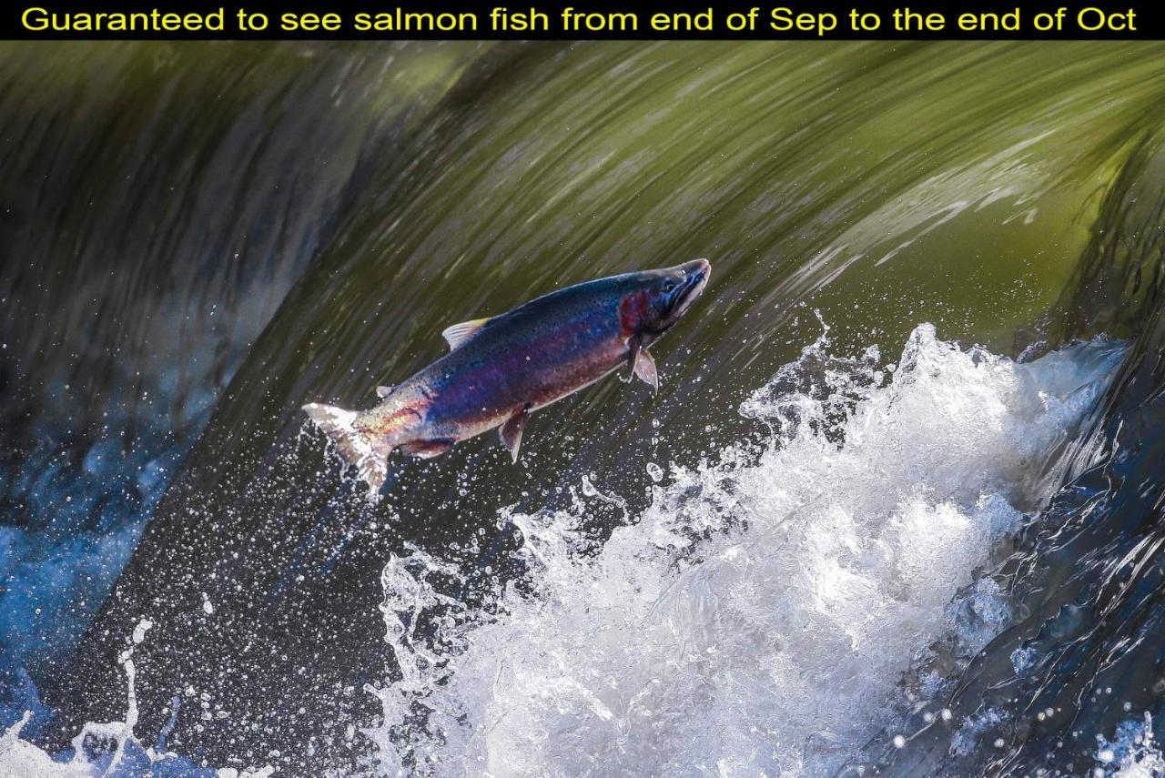 Salmon Magwood Guesthouse Toronto Bagian luar foto