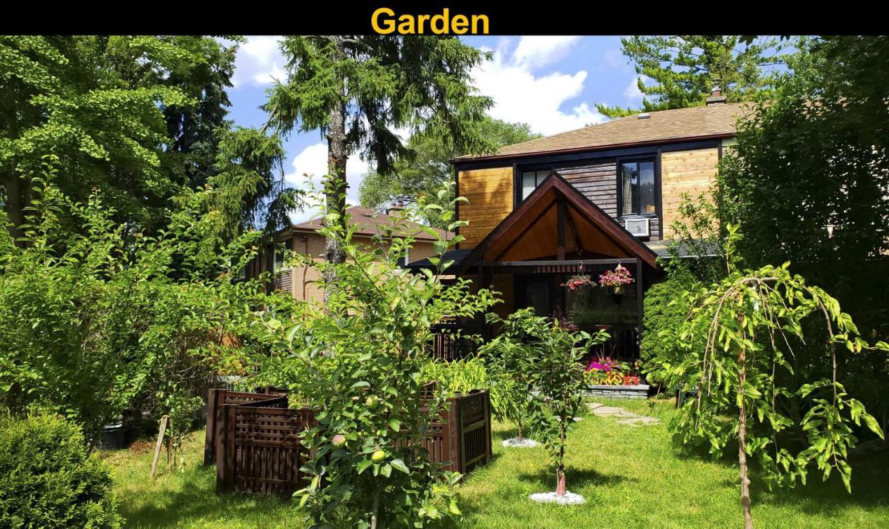 Salmon Magwood Guesthouse Toronto Bagian luar foto
